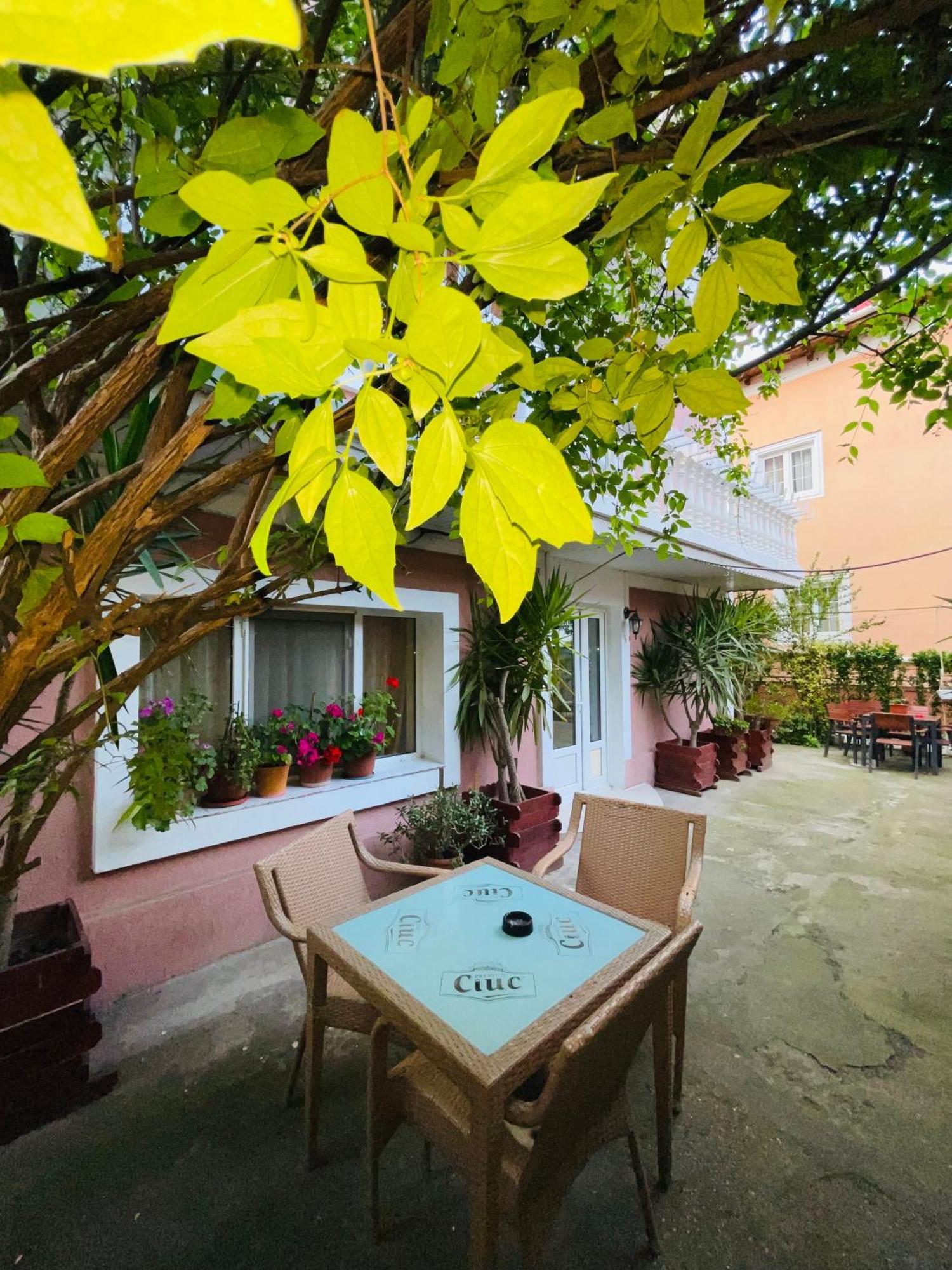 Pensiune Perla Dunarii Giurgiu Esterno foto